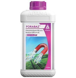 forabaz pack