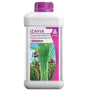 Izavia Pack