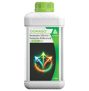 Domago
