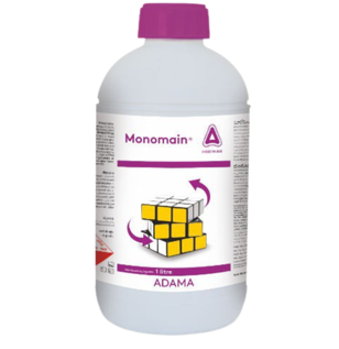 monomain