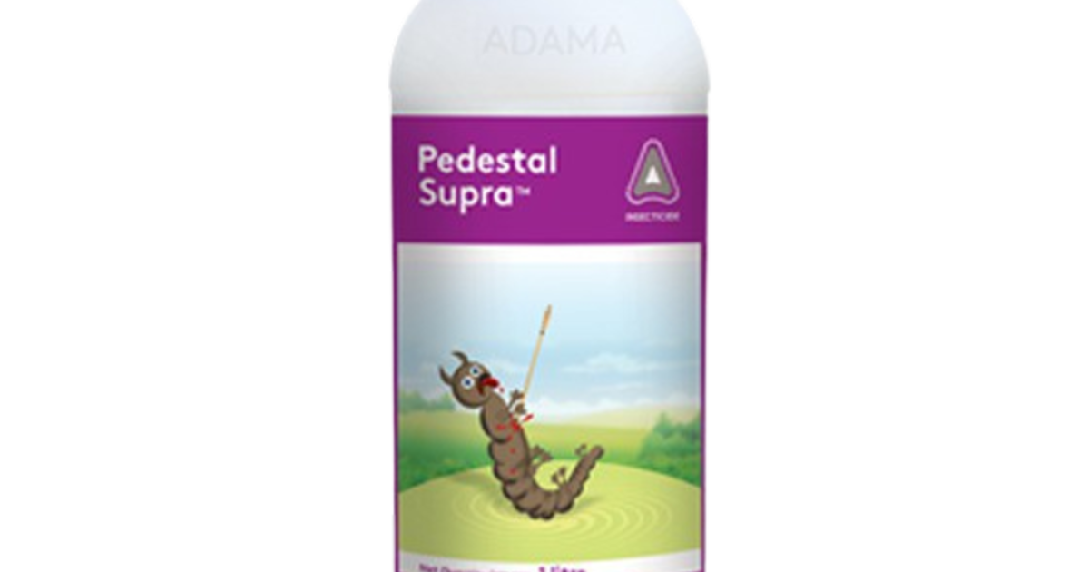 Pedestal Supra ADAMA India