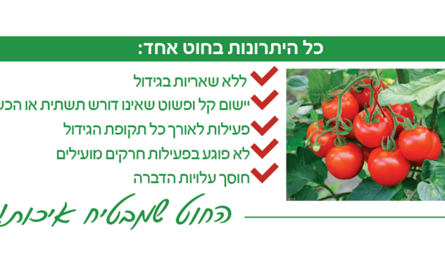 יתרונות חוטי טוטה אבסולוטה יתרונות חוטי טוטה אבסולוטה