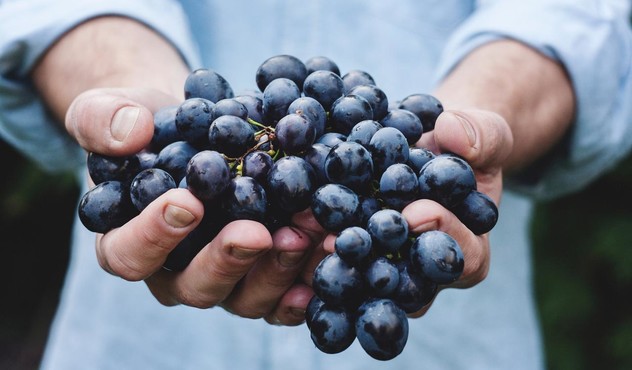 Hands Holding Grapes