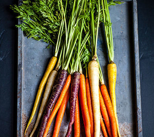 carrots1.jpg