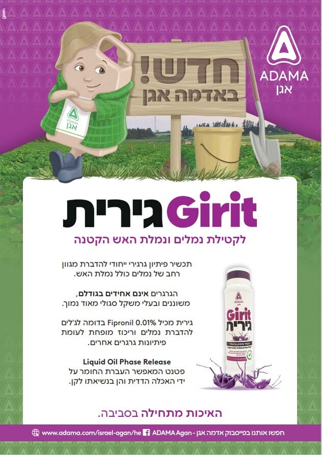 Girit flayer