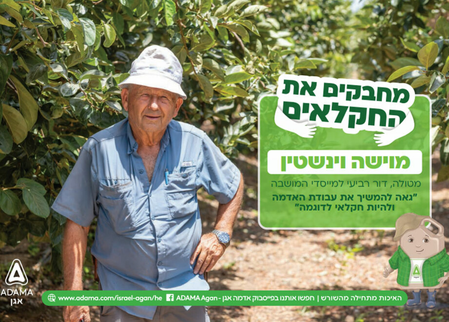 מוישה וינשטיין