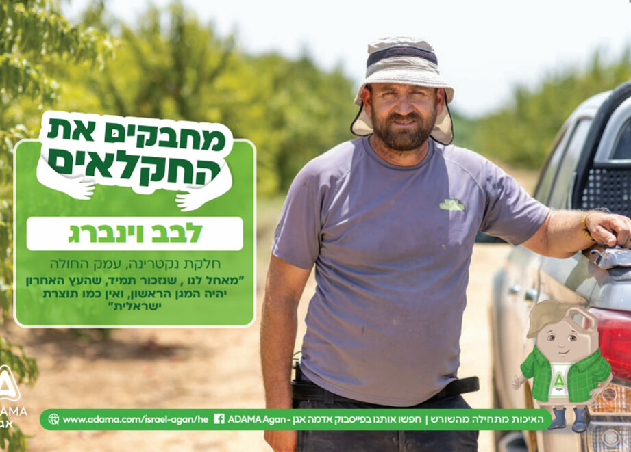 לבב וינברג