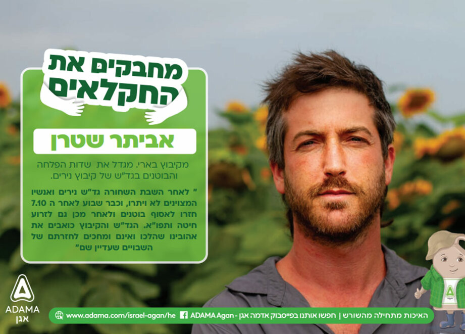 אביתר שטרן