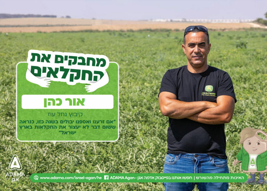אור כהן