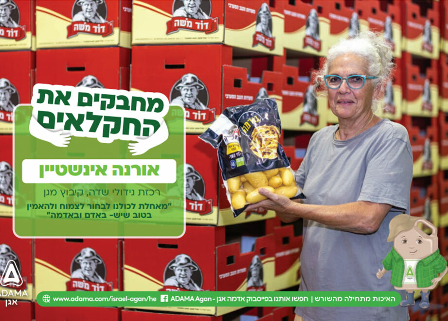 אורנה איינשטיין