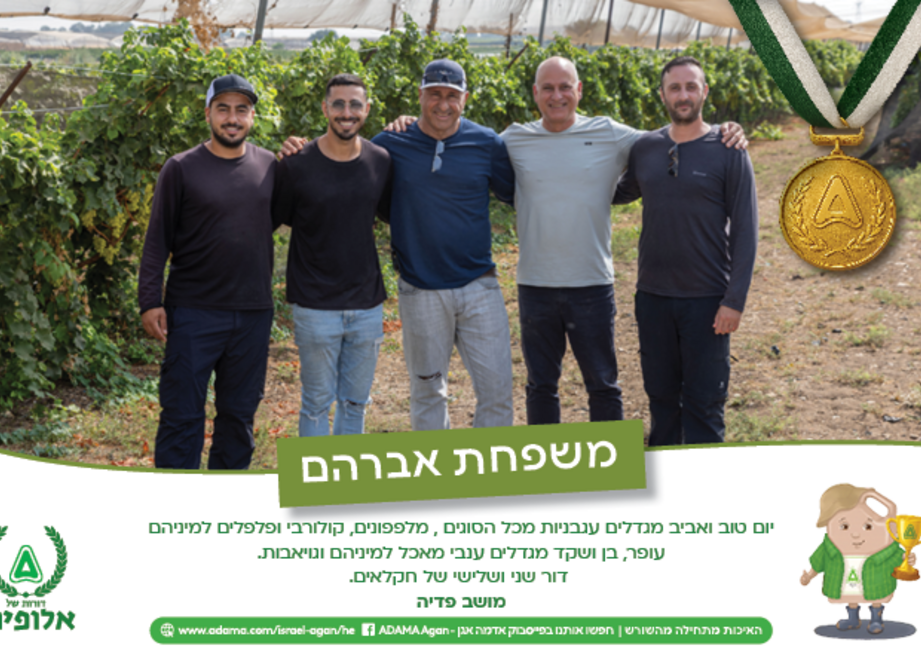 לוח שנה משפחת אברהם
