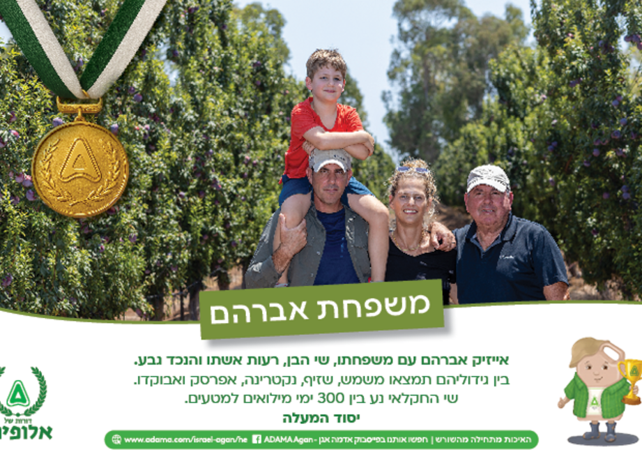 לוח שנה משפחת אברהם
