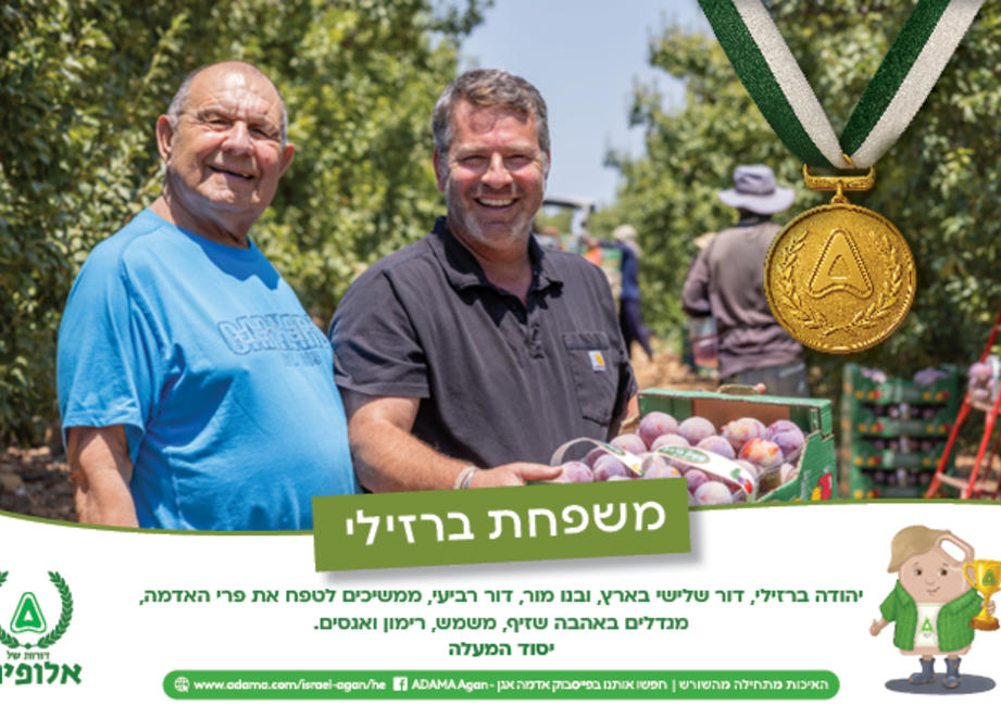 לוח שנה משפחת ברזילי