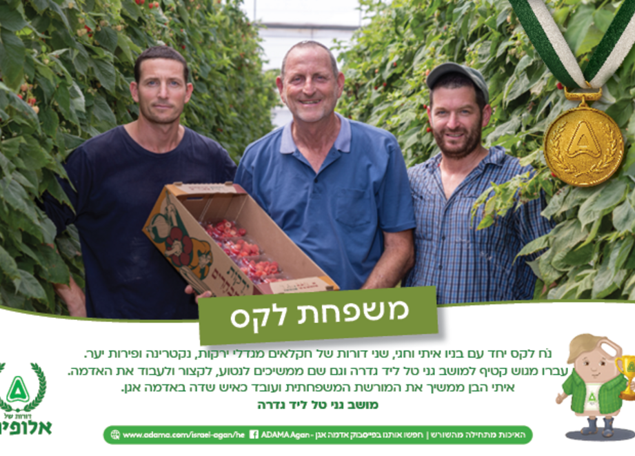 לוח שנה משפחת לקס