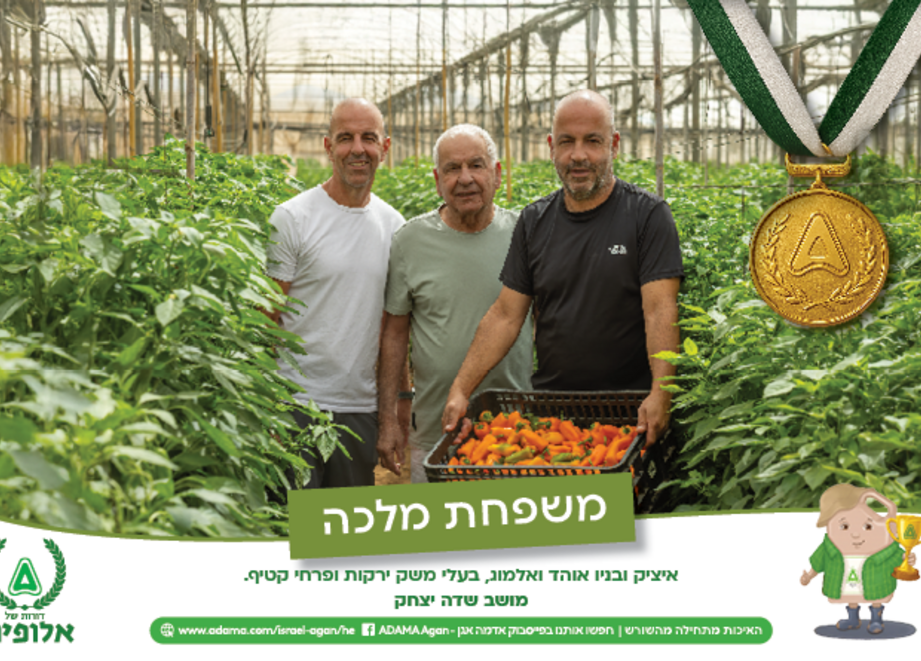 לוח שנה משפחת מלכה