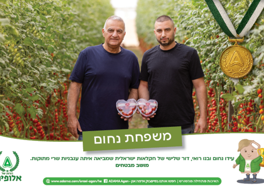 לוח שנה משפחת נחום