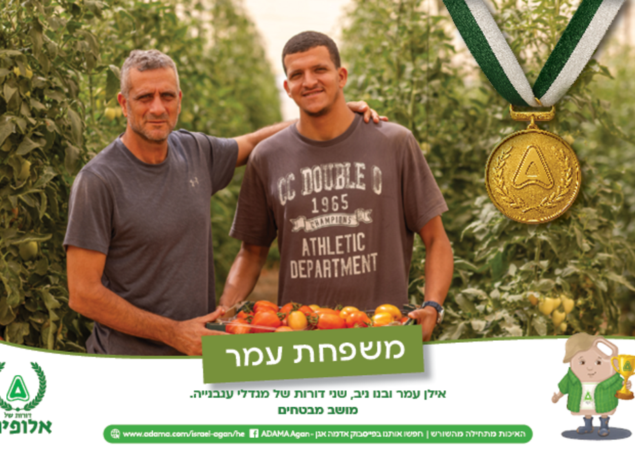 לוח שנה משפחת עמר