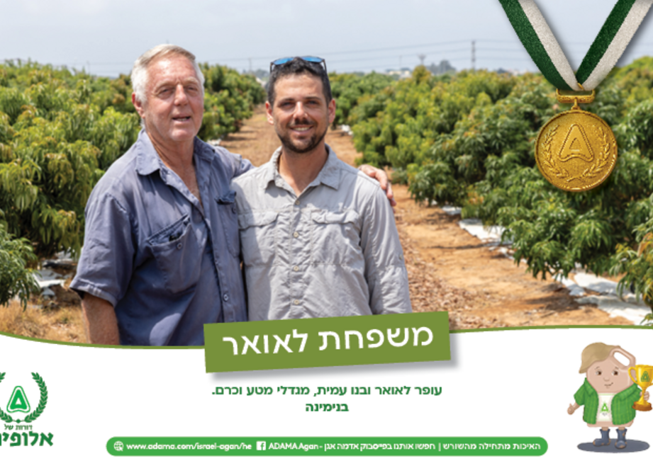 משפחת לאואר