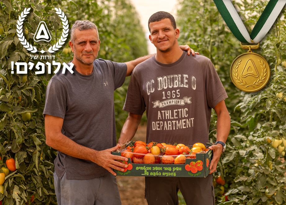 משפחת עמר
