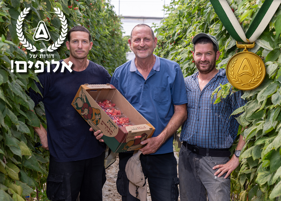 משפחת לקס