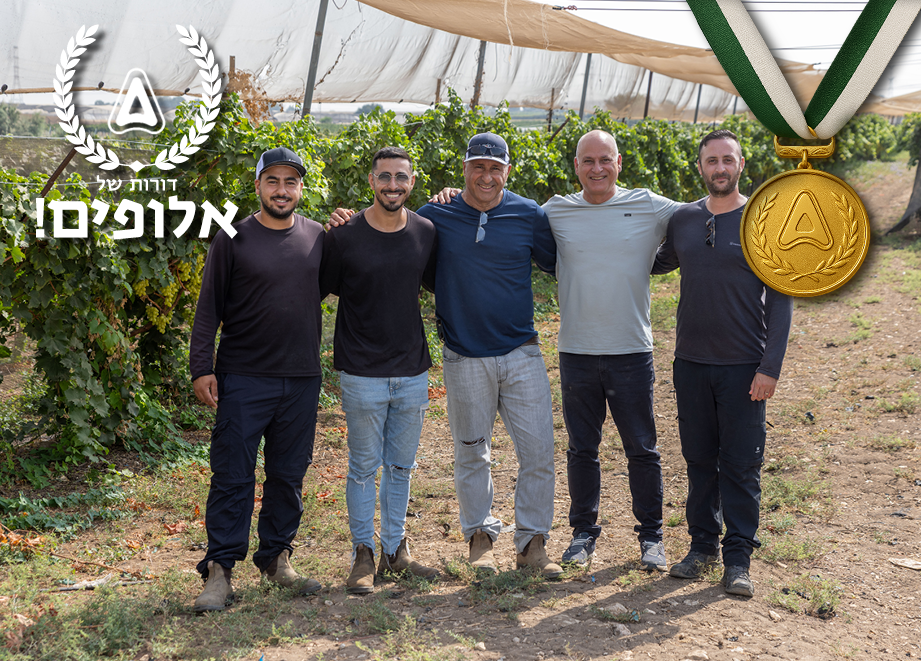 משפחת אברהם