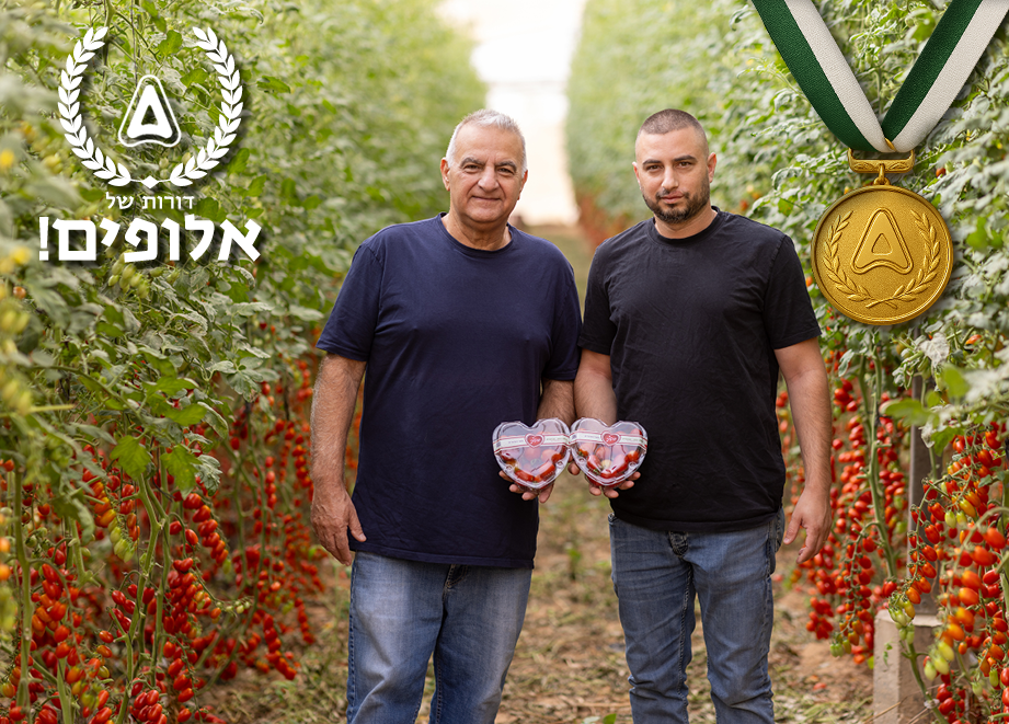 משפחת נחום
