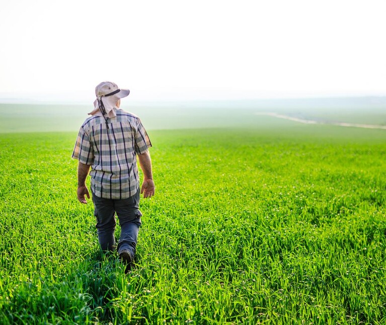 Farmer in Carrot Field