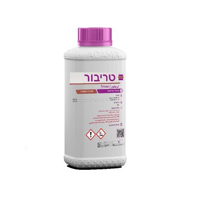 טריבור