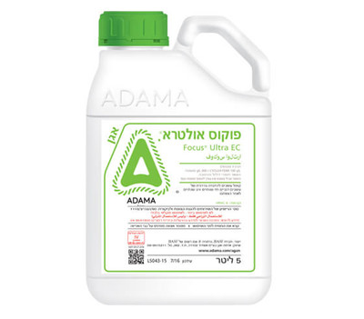 פוקוס אולטרא