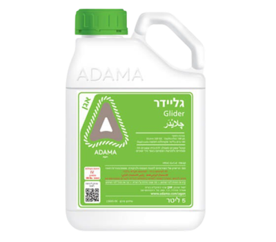 גליידר