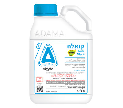סטרנר