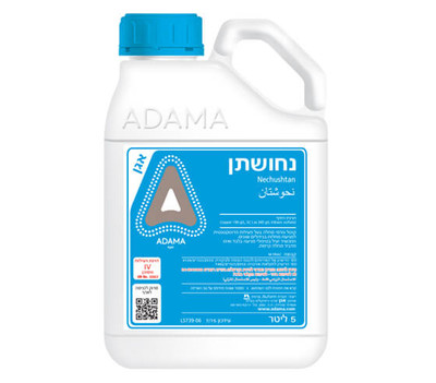נחושתן