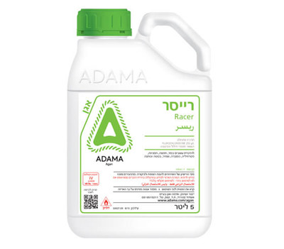 רייסר