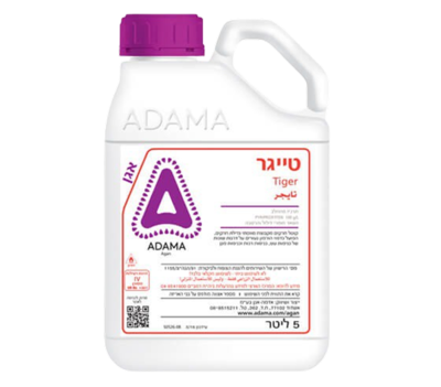 טייגר