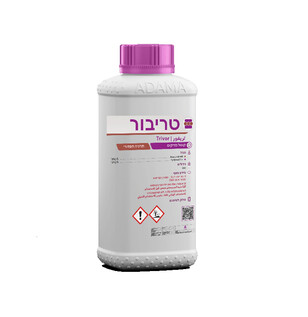 טריבור
