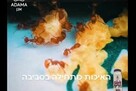 גירית - פתיון לנמלים