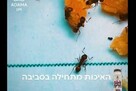 גירית - פתיון גרגרי לנמלים