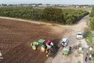 זריעת חיטה
