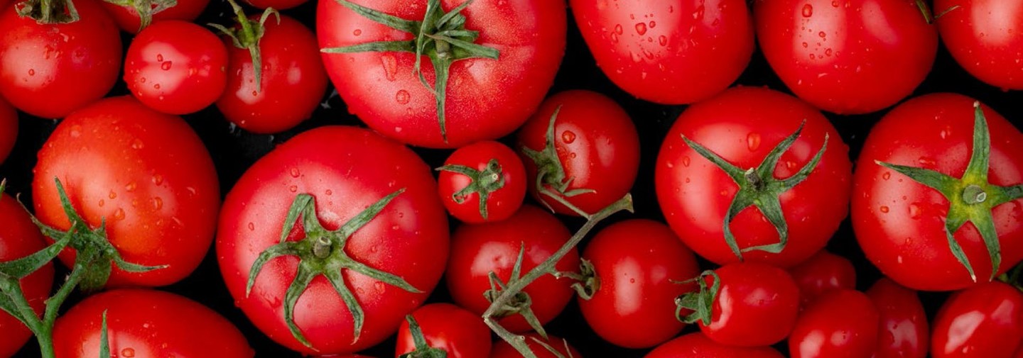 tomatos-banner
