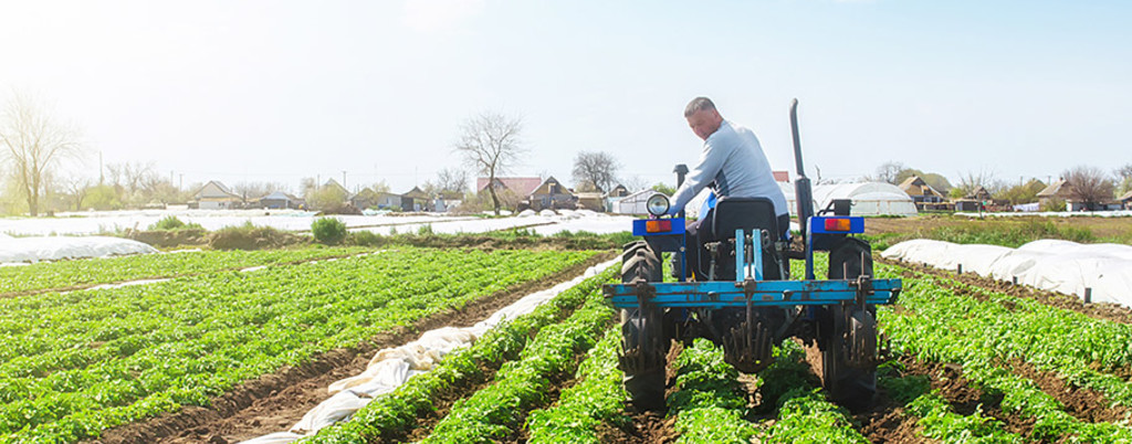 Farmer in the field
