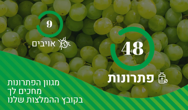 48