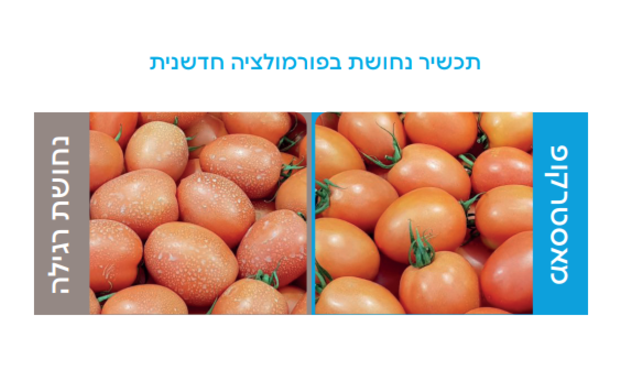 מאסטרקופ - יתרונות