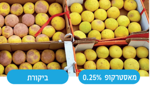 מאסטרקופ מול ביקורת