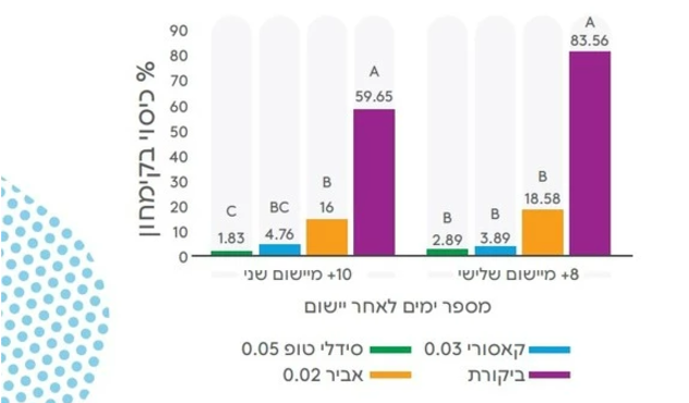 סידלי טופ