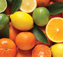 המלצות להגנה על ההדרים שלך