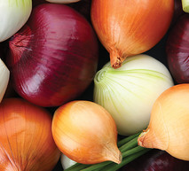 המלצות להגנה על הבצל שלך