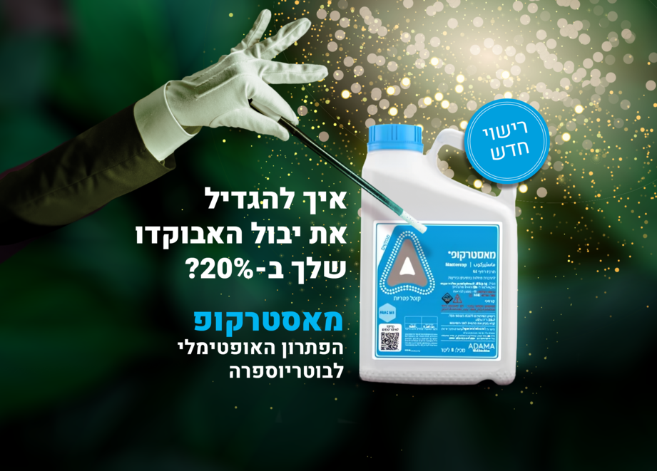 טסט