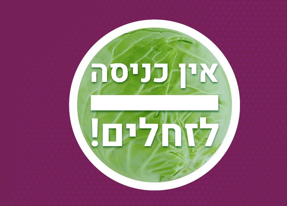 כרובים