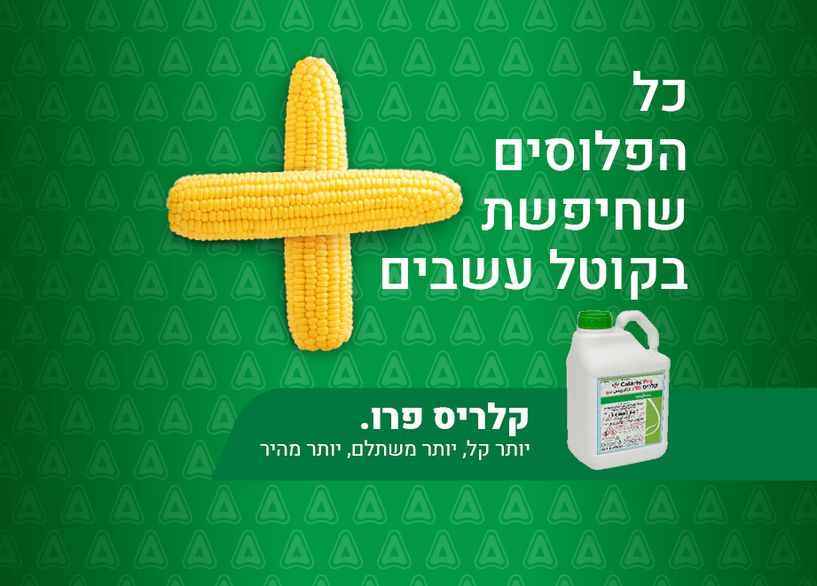 קלאריס פרו