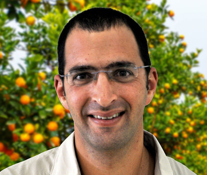גדי בן עמי